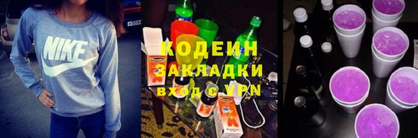 гидра Вяземский