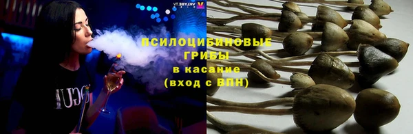 гидра Вяземский