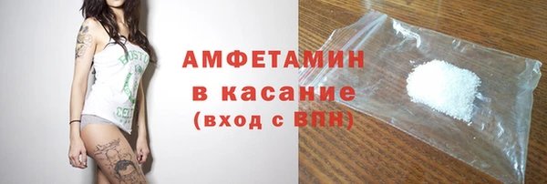 гидра Вяземский