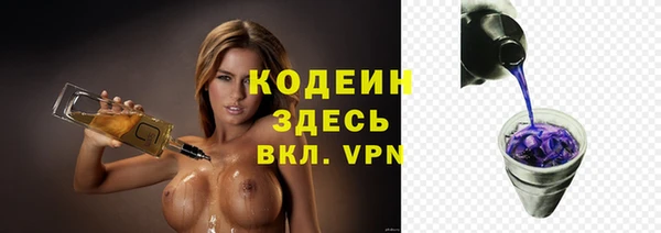 гидра Вяземский