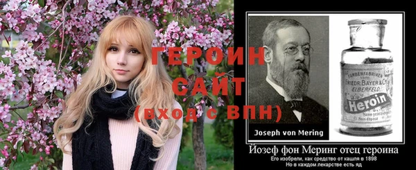 гидра Вяземский