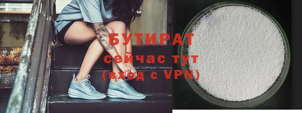 гидра Вяземский