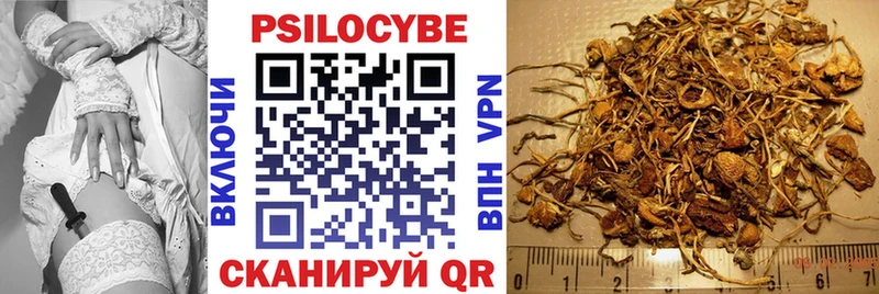 Псилоцибиновые грибы Psilocybine cubensis  кракен зеркало  Зеленогорск  даркнет сайт 